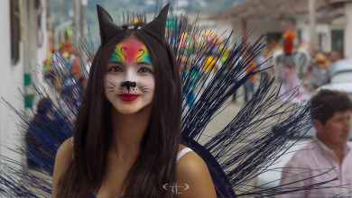 Carnival Kitten